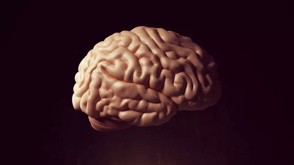 A human brain in the dark. Photo. 
