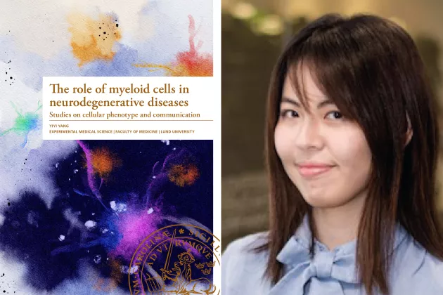 A collage showing Yiyi Yang's thesis and a profile photo of her. 