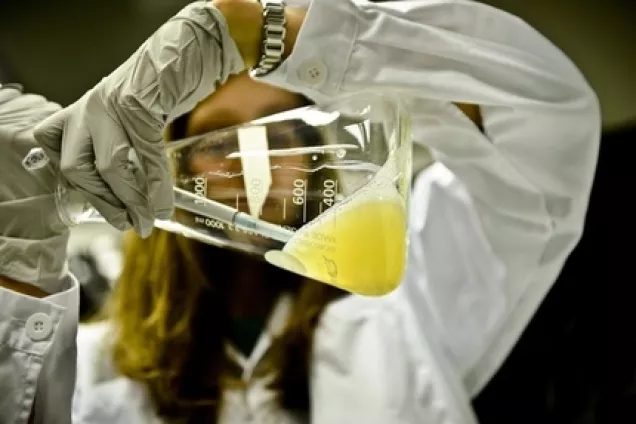 Woman in a lab holding a glas cup with yellow liquid. Photo.