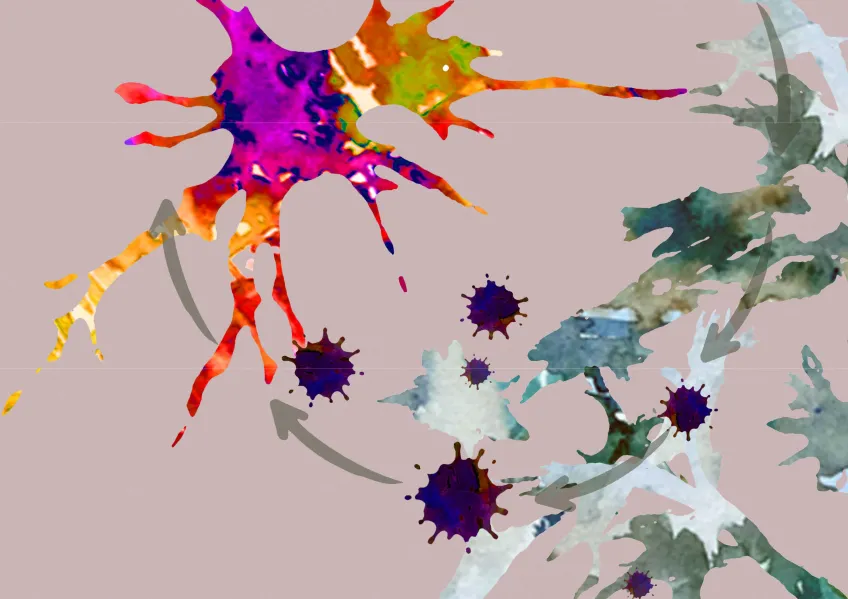 A graphic representation of cells being reprogrammed to change shape. Illustration. 