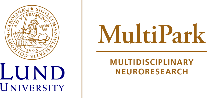 MultiPark sub-logotype. Illustration. 