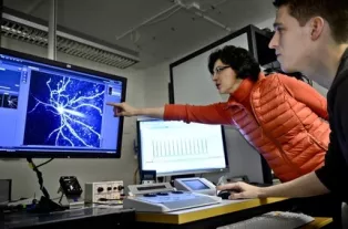 Angela Cenci Nilsson & Tim Fieblinger in the two-photon microscopy lab looking at a computer screen. Photo.