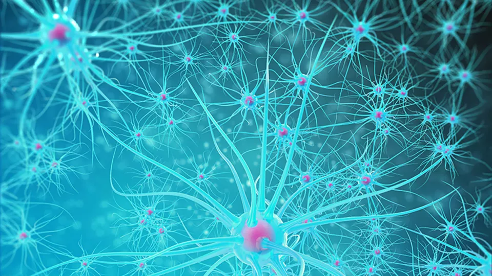 En animerad bild på turkosa nervceller med rosafärgade cellkärnor inuti. 