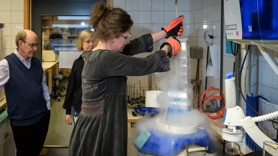Anders Björklund, Malin Parmar och Jenny Nelander i labbet. Foto. 