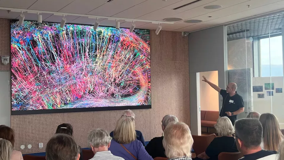 Tomas Björklund förklarar hjärnans komplexitet för en intresserad publik