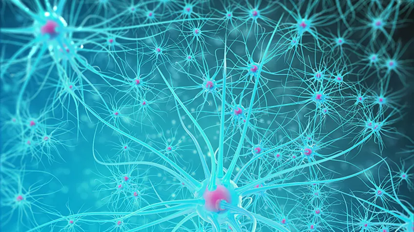 En animerad bild på turkosa nervceller med rosafärgade cellkärnor inuti. 